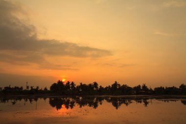 Günbatımı üzerinde pirinç tarlaları ekime hazırlanır