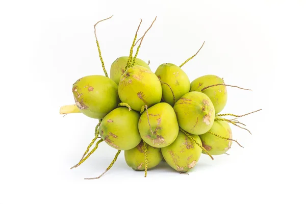 Frutas de coco para beber água — Fotografia de Stock