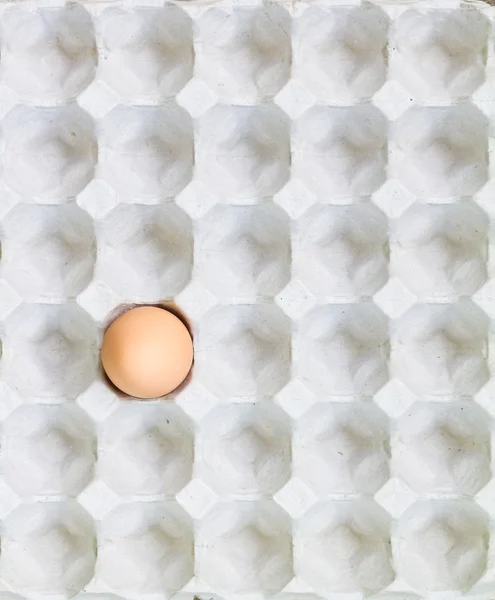 Egg in a carton package — Stock Photo, Image