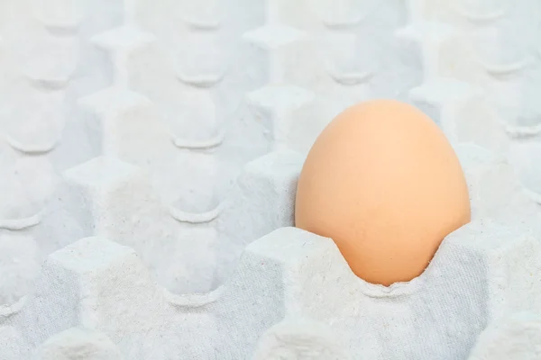 Egg in a carton package — Stock Photo, Image