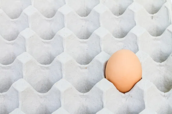 Egg in a carton package — Stock Photo, Image