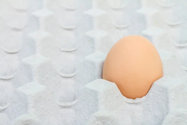 Egg in a carton package — Stock Photo, Image