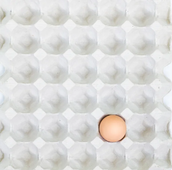 Egg in a carton package — Stock Photo, Image