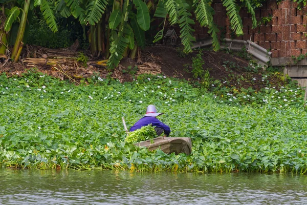 Agricultor trabajando en la granja de gloria de la mañana — Foto de Stock