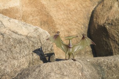 Pterosarus dinozor plastik oyuncak kaya