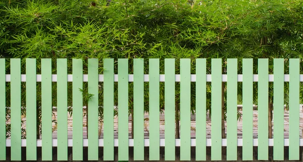 绿色的围栏和竹树背景 — 图库照片