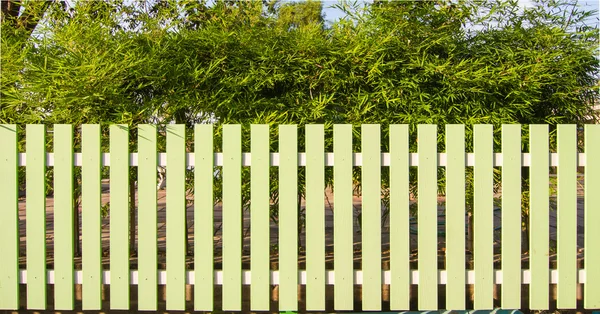 Recinzione verde e sfondo albero di bambù — Foto Stock