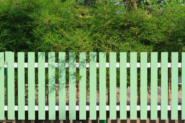 绿色的围栏和竹树 — 图库照片