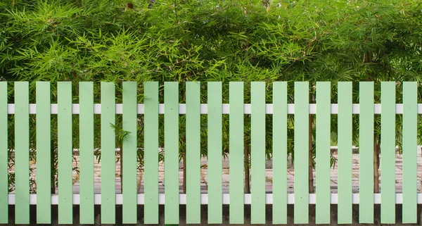 Grüner Zaun und Bambusbaum — Stockfoto