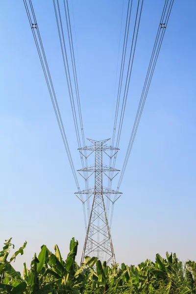 Big electric pole over banana farm — Stock Photo, Image