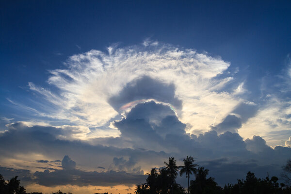 Rainbow in between two clouds gap over tree