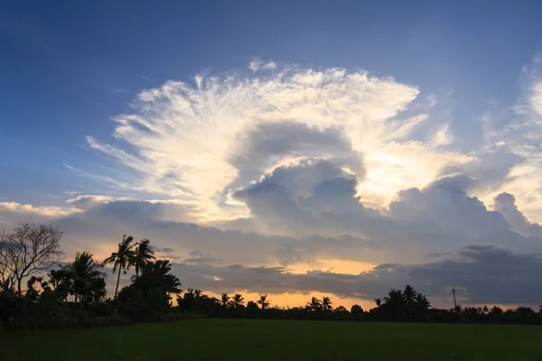 Rainbow in between two clouds gap over rice field — Stock Photo, Image