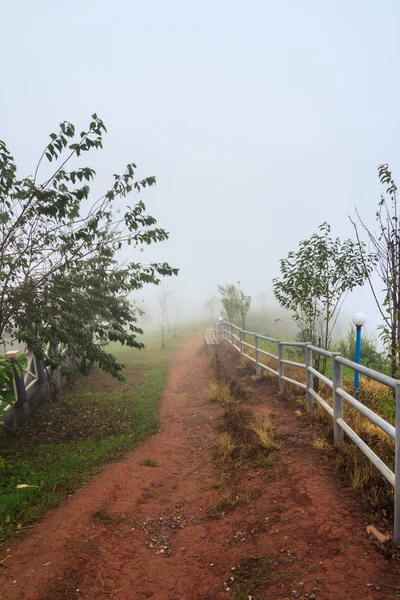 Pathway in the mist — Stock Photo, Image