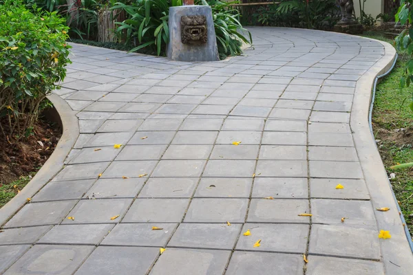 Цементный кирпич путь пешком в сад — стоковое фото