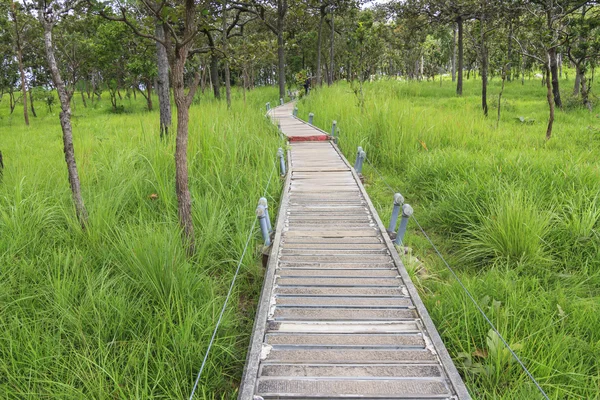 Bridge walkway in the park — Stock Photo, Image