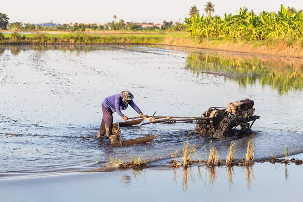 Agricultor usando trator ambulante para plantação de arroz — Fotografia de Stock