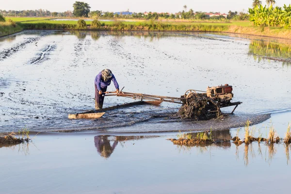 Petani menggunakan traktor berjalan kaki untuk perkebunan padi — Stok Foto