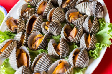 Haşlanmış taze istiridye