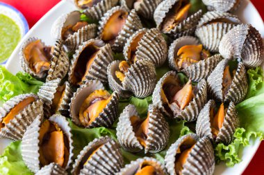 Haşlanmış taze istiridye