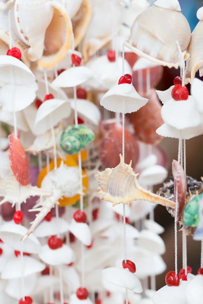 Curtains made from shells — Stock Photo, Image