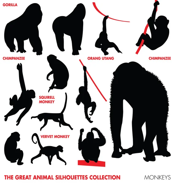 The great animal silhoettes collection - monkeys — Stock Vector