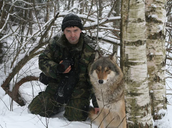 Man and wild wolf posing for camera in winter forest, Belarus