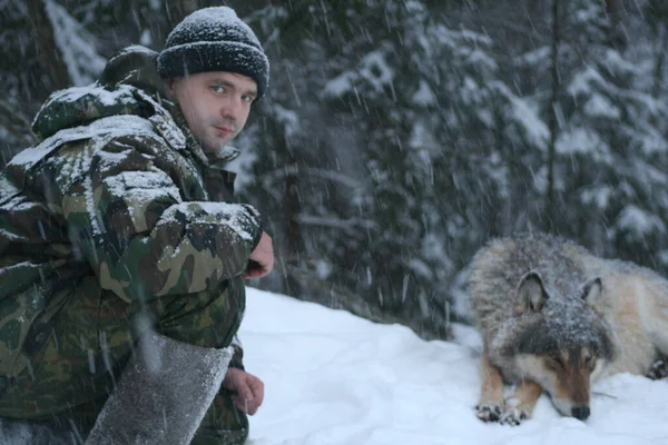 Man and wild wolf posing for camera in winter forest, Belarus