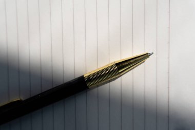 Altın kalemle açılmış boş bir kitap - düz yatıyordu.