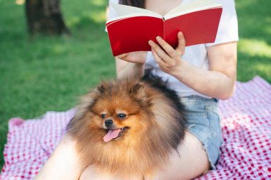 Sahibi parkta köpeğine kitap okuyor. Güzel evcil hayvanla piknik yapmak.