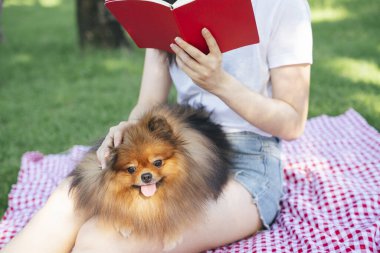 Sahibi parkta köpeğine kitap okuyor. Güzel evcil hayvanla piknik yapmak.