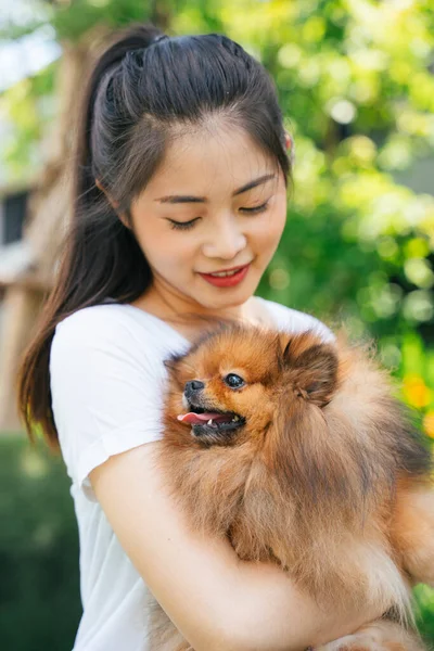 Schöne Asiatische Frau Und Ihr Schöner Pommerscher Spitzhund — Stockfoto