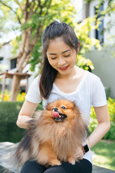 Wanita Asia Yang Cantik Dan Anjing Pomeranian Spitz Nya Yang — Stok Foto
