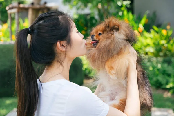 Asiatische Besitzerin Küsst Pommerschen Spitzhund — Stockfoto