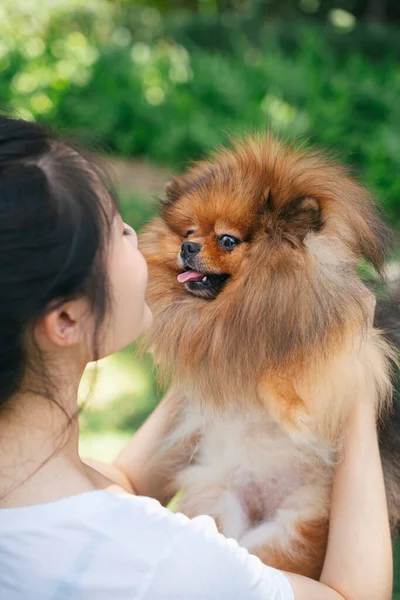 Asiatisk Ägare Kvinna Kysser Pommerska Spitz Hund — Stockfoto