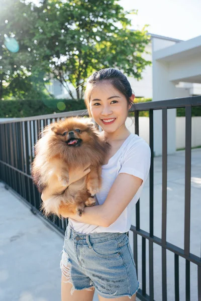 Portrait Asian Woman Pomeranian Spitz Dog — Stok Foto