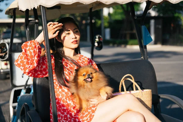 美しいアジアの女性と彼女の犬は日没の光の中で乗用車に座って — ストック写真