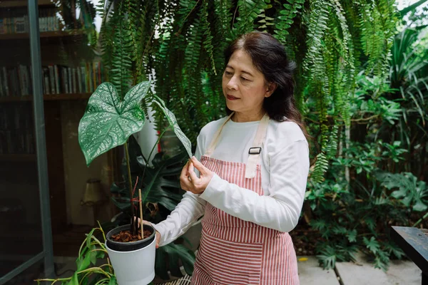 Asian Senior Woman Tending Plants Garden — Stock Photo, Image