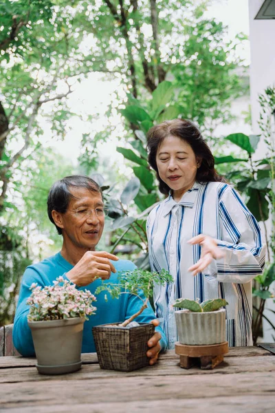 Asiático Casal Sênior Cuidar Plantas Jardim — Fotografia de Stock