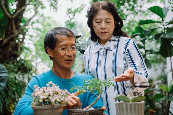 Asiático Casal Sênior Cuidar Plantas Jardim — Fotografia de Stock