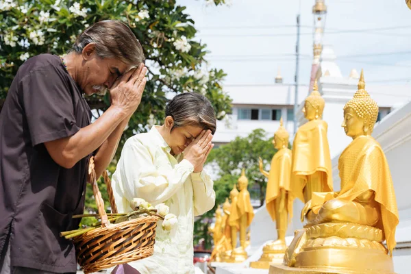 Asiatisches Älteres Ehepaar Zollt Goldener Buddha Statue Thailändischem Tempel Respekt — Stockfoto
