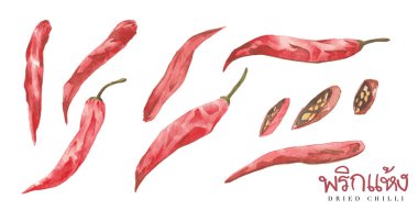 Kurutulmuş biber renginde sulu çizim, Tayland 'ın imzası olan Tom Yum Kung koleksiyonu..