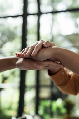 Ellerinizi birbirinizin üstüne koyun. Başarılı iş ve takım çalışması kavramı.