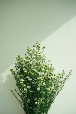 Beyaz çingene çiçeği buketi. Uzayı kopyala Bir demet bebek nefesi çiçeği.