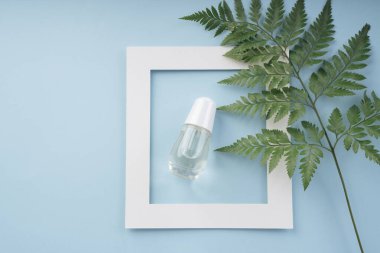 Beyaz çerçeveli, mavi arka planda doğal yaprağı olan bir serum yağı şişesi yap. Boşluğu kopyala.