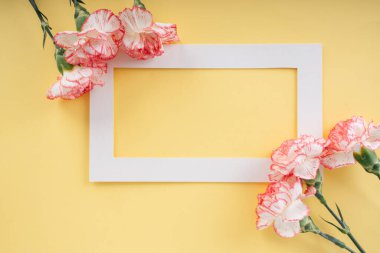 Beyaz, sarı arka planda karanfil çiçeğiyle süslenir. Boşluğu kopyala.