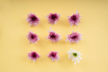 Üst manzara, mor ve beyaz, sarı arka plan. Boşluğu kopyala.