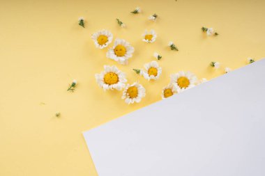 Sarı arka plan ve çiçek üzerine beyaz kağıt. Üst görünüm.