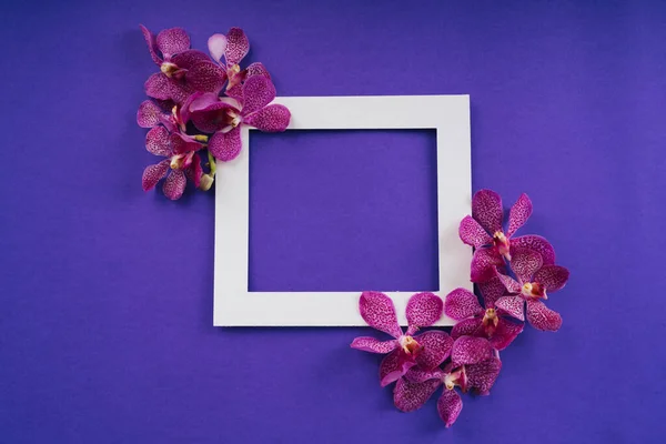 Top view of white frame over purple background with orchid flowers. Mock up and copy space. Thai mother day.