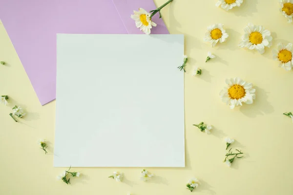 Beyaz Sarı Arka Planda Çiçek Olan Kağıt Maketi Üst Görünüm — Stok fotoğraf