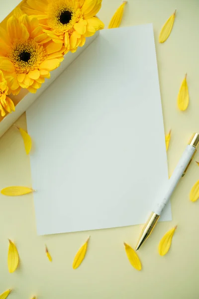 Beyaz Kağıt Maket Sarı Ayçiçeği Kalem Boşluğu Kopyala — Stok fotoğraf